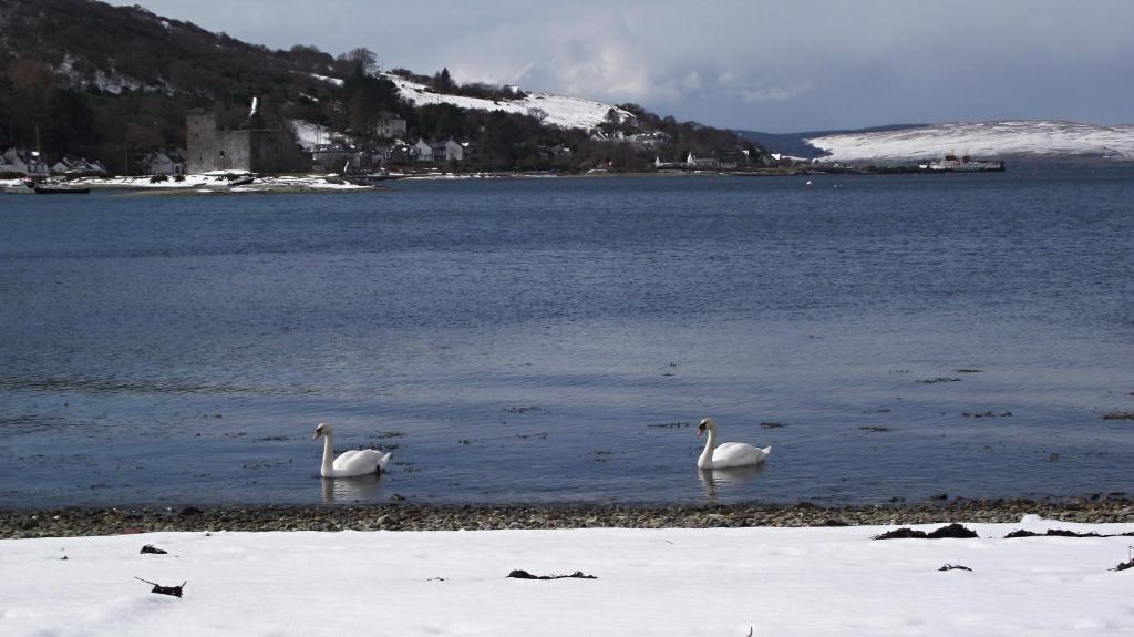 Lochranza Youth Hostel Kültér fotó